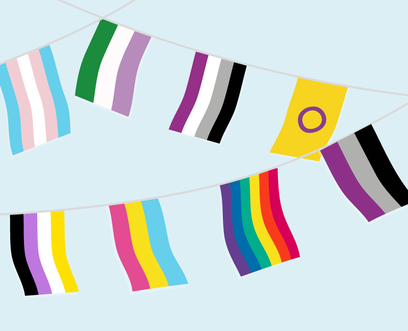 LGBTQ+ Pride Trans Flags 