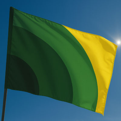 Mental Health Flag