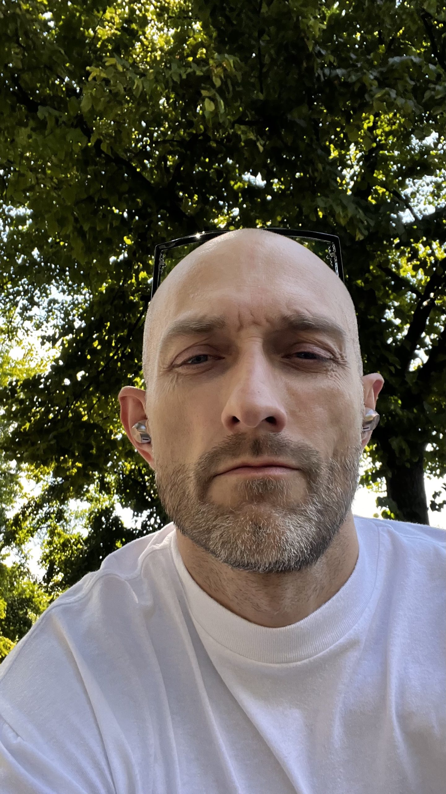 ff d5fdbe44a6abae190afed23cb7e80a6e ff IMG 6602 1 scaled