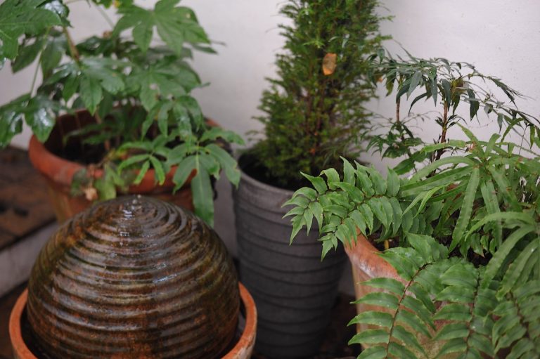 ff 60f0cccf0444fedf94ea651972b1c57b ff DSC 2861 copy 1 768x511