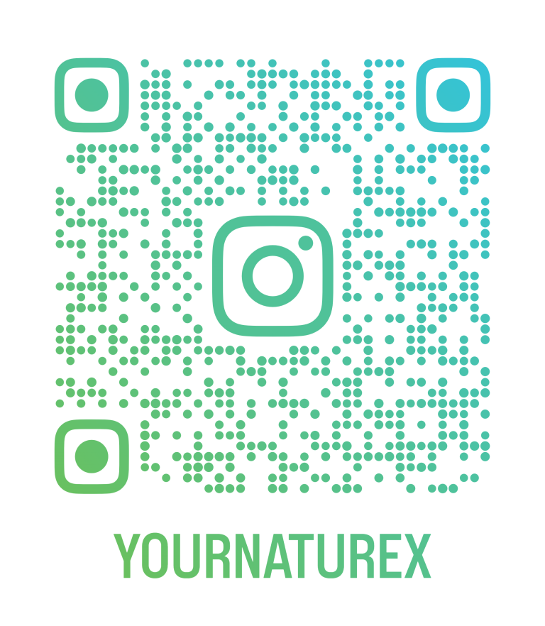 ff bb53dfededd1bd2a59802a8d012f6498 ff yournaturex qr 1 768x882